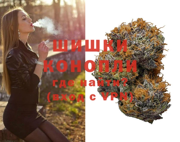 дурь Богданович