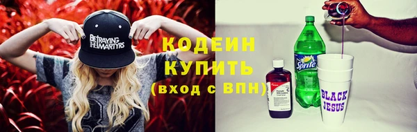соль ск Богородск