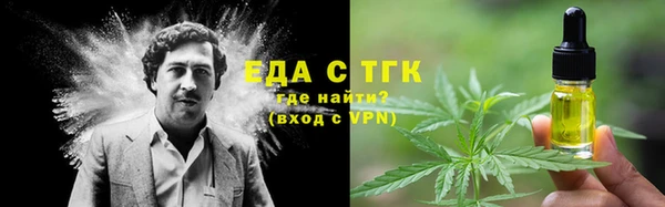 стаф Тайга