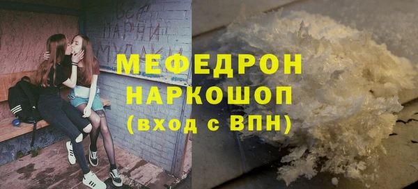 стаф Тайга
