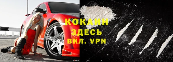 дурь Богданович