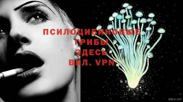 дурь Богданович