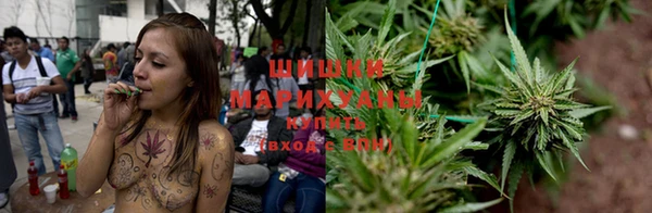 дурь Богданович